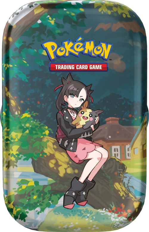Pokémon Pokébox - Mini-tint - 0